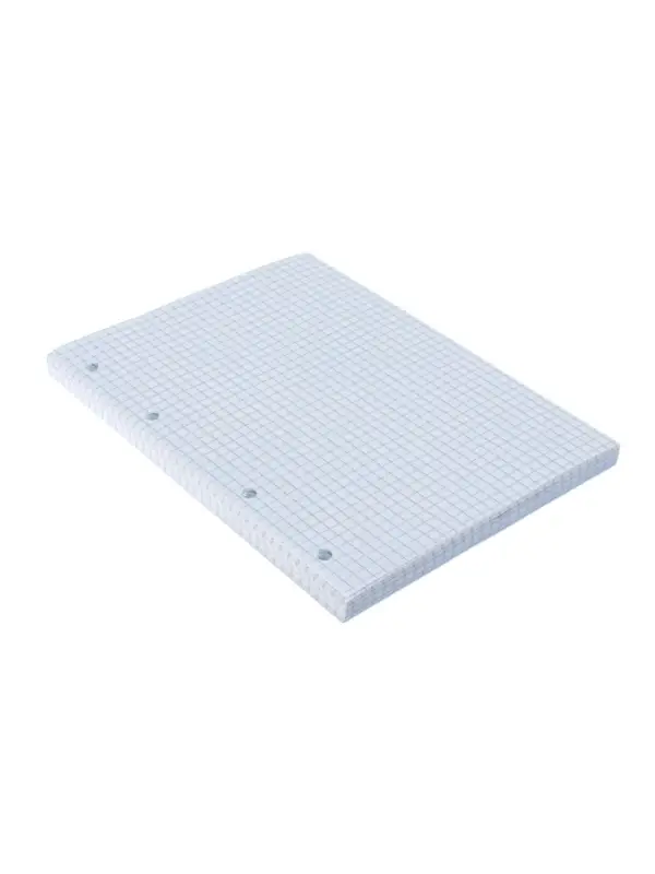 Сменный блок для тетрадей на кольцах А5, 120 листов, в клетку, Calligrata, блок офсет № 160 г/м&sup2;, белизна 100%