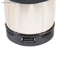 Портативная колонка Luazon Hi-Tech09, 3 Вт, 300 мАч, microSD, USB, корпус металл, золотистая