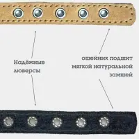 Ошейник, 35&times;1.5 см, с подкладом и светоотражающей лентой, кожа, бежевый