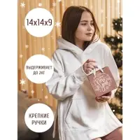Пакет подарочный новогодний крафтовый квадратный «Новогодний подарок», 14 х 14 х 9 см