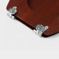 Сиденье для унитаза с крышкой &laquo;Натуральное дерево&raquo;, 45&times;35 см, цвет орех