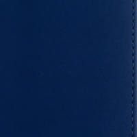 Ежедневник недатированный А4 210 х 300 мм Velvet синий 272 стр. 3-116/01