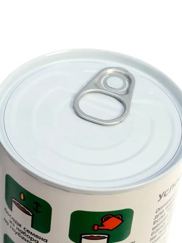 Набор для опытов ЭВРИКИ &laquo;Мой мини-сад&raquo;, огурец