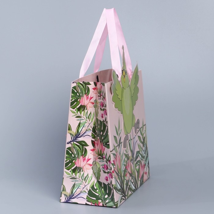 Пакет подарочный, упаковка, «Попугай», 22 х 22 х 10 см Пакет подарочный, упаковка, «Попугай», 22 х 22 х 10 см