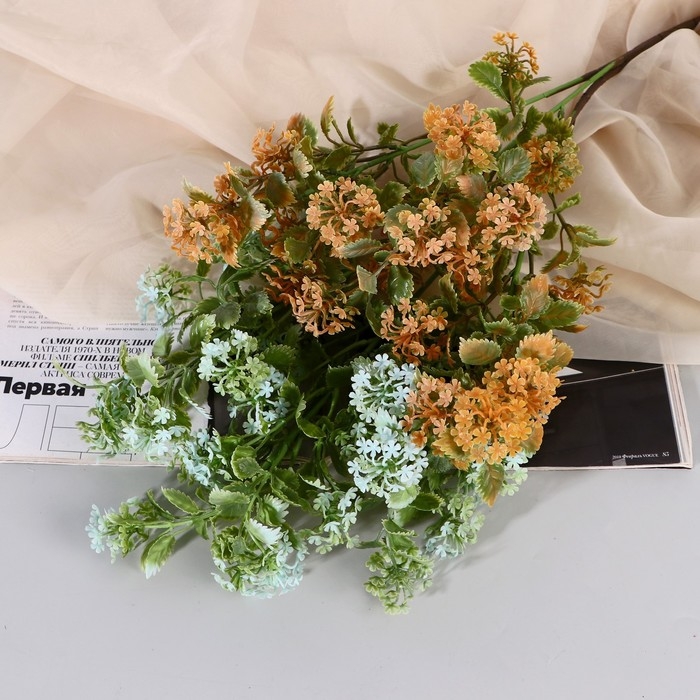 Букет Букет "Зизифора галант" 50 см, микс