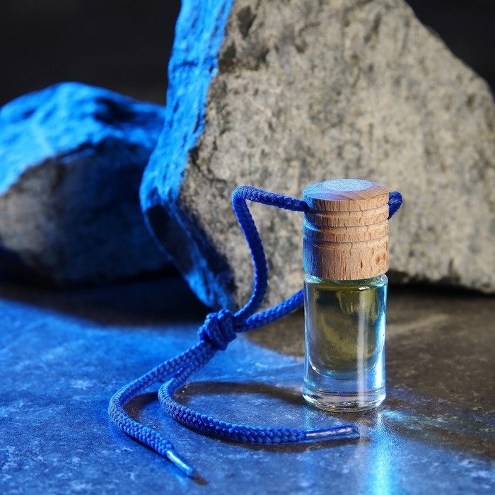 Ароматизатор подвесной Grand Caratt Новая машина, 4 мл Ароматизатор подвесной Grand Caratt Новая машина, 4 мл