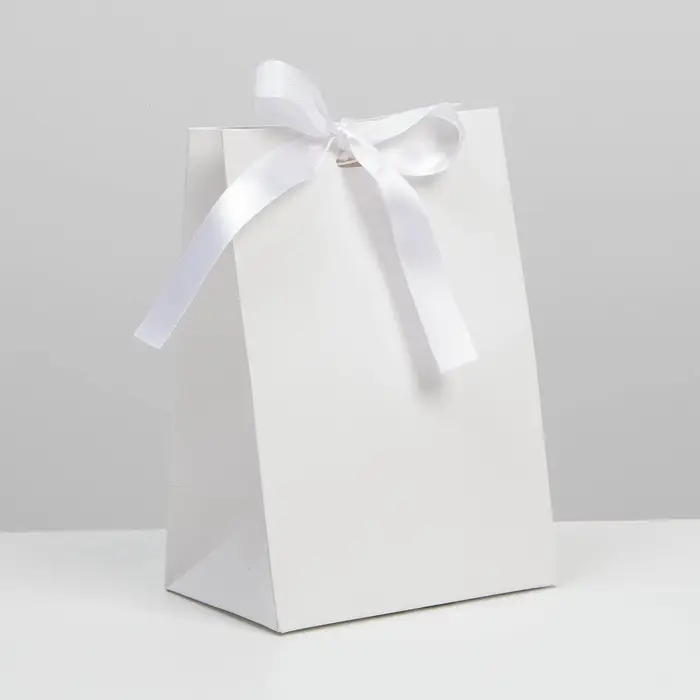 Пакет подарочный с лентой, упаковка, «Белый», 13 х 19 х 9 см
