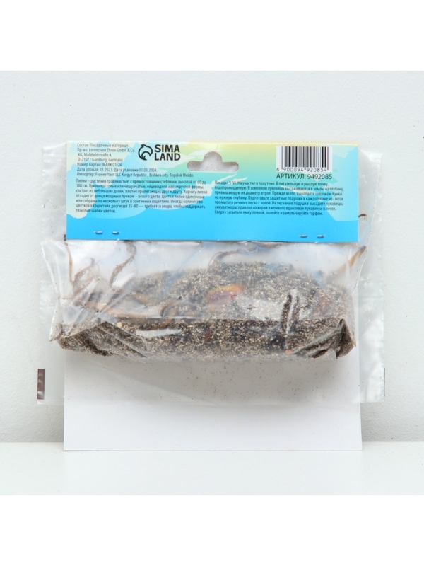 Лилии Трубчатые смотрящие вверх Yellow Planet, луковица в пакете с перфорацией, р-р 12/14, 2 шт.