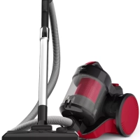 Пылесос с контейнером Cyclonic Power TW1923RH