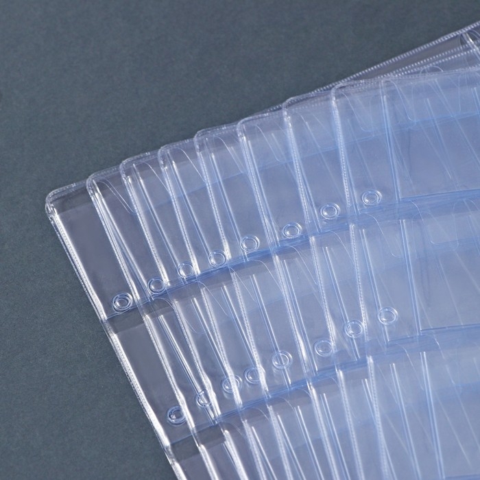 Набор листов для монет, формат Набор листов для монет, формат "Оптима", 10 листов 200 х 250 мм, на 20 ячеек 45 х 48 мм