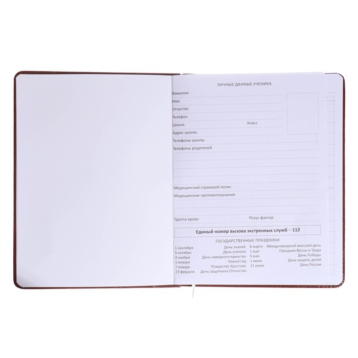 Дневник универсальный для 1-11 класса "Герб", твёрдая обложка, искусственная кожа, коричневая обложка , ляссе, 80 г/м2