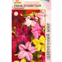 Семена Табак душистый "Сенсация" 0,1 г Семена Табак душистый "Сенсация" 0,1 г