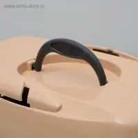 Переноска для животных до 9 кг &laquo;Пижон&raquo;, 43&times;29&times;27.5 см, металлическая дверь, пластик, бежевая, серая