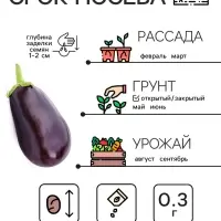 Семена Баклажан «Чёрный красавец», 0.3 г