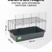 Клетка для кроликов, морских свинок &laquo;Пижон&raquo; №4 складная, 80&times;50&times;47 см, светло-серая