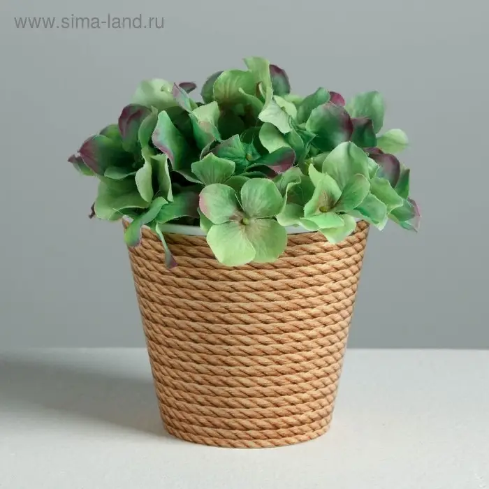 Кашпо «Эко», 0,8 л, 11 х 12 см Кашпо «Эко», 0,8 л, 11 х 12 см