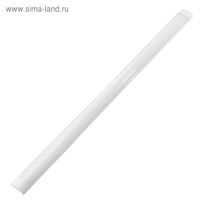 Cветильник линейный светодиодный Ecola, 36 Вт, 6500 К, 220 В, IP20, 1200х75х25 мм Cветильник линейный светодиодный Ecola, 36 Вт, 6500 К, 220 В, IP20, 1200х75х25 мм