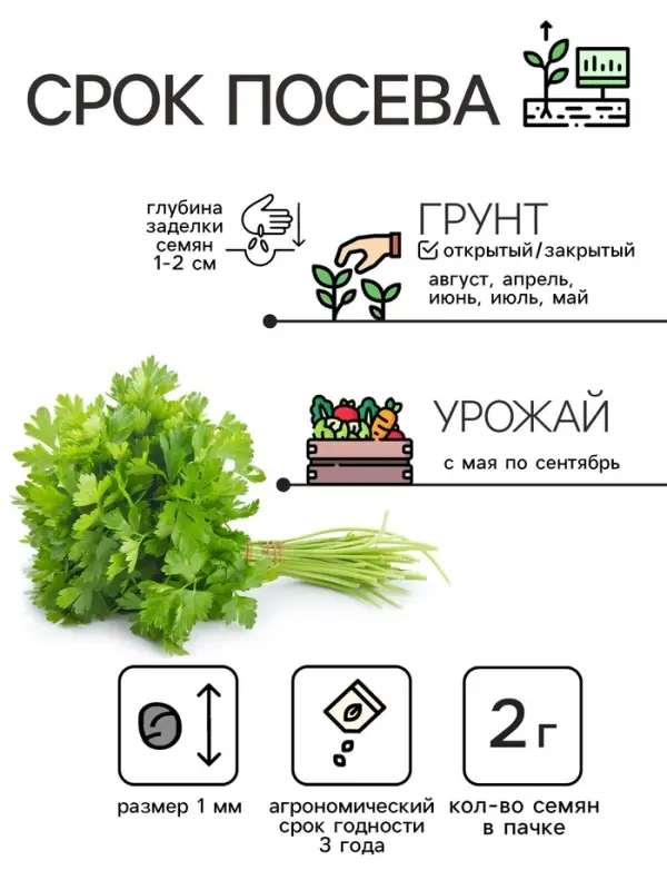Семена Петрушка кудрявая &laquo;Мооскраузе&raquo;, 2 г, &laquo;Рецепты дедушки Никиты&raquo;