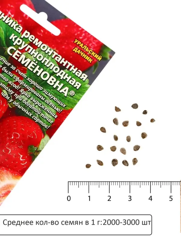 Семена Земляника &laquo;Семёновна&raquo;, 10 шт., ремонтантная, крупноплодная, &laquo;Уральский дачник&raquo;