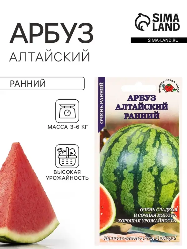 Семена Арбуз &laquo;Алтайский ранний&raquo;, 1 г, &laquo;Золотая Сотка Алтая&raquo;