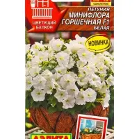 Семена цветов Петуния Минифлора горшечная F1 белая (драже в пробирке) Цветущий балкон, Ц/П,5 шт. 10 Семена цветов Петуния Минифлора горшечная F1 белая (драже в пробирке) Цветущий балкон, Ц/П,5 шт. 10