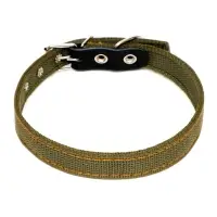 Ошейник брезентовый двухслойный, 54&times;2.5 см, ОШ 35-45 см, хаки