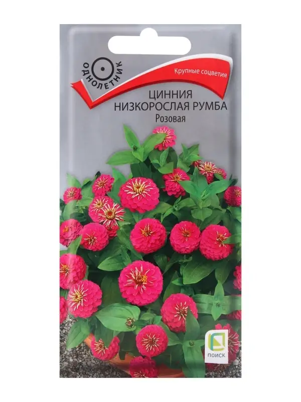 Семена цветов Цинния низкорослая Румба Розовая, 0,1гр Семена цветов Цинния низкорослая Румба Розовая, 0,1гр