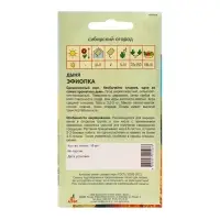 Семена Дыня «Эфиопка», 10 шт., «Агрос»