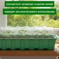Мини - парник для рассады, 35&times;13&times;11 см, 14 ячеек под таблетки для рассады d=4 см, пластик, Greengo