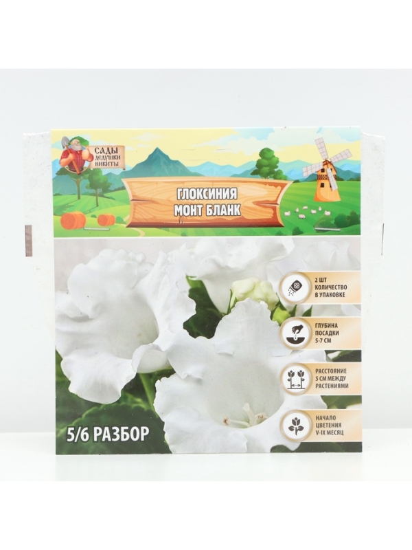 Глоксиния «Монт Бланк», многолетник, комнатный, луковица в пакете с перфорацией, р-р 5/6, 2 шт.
