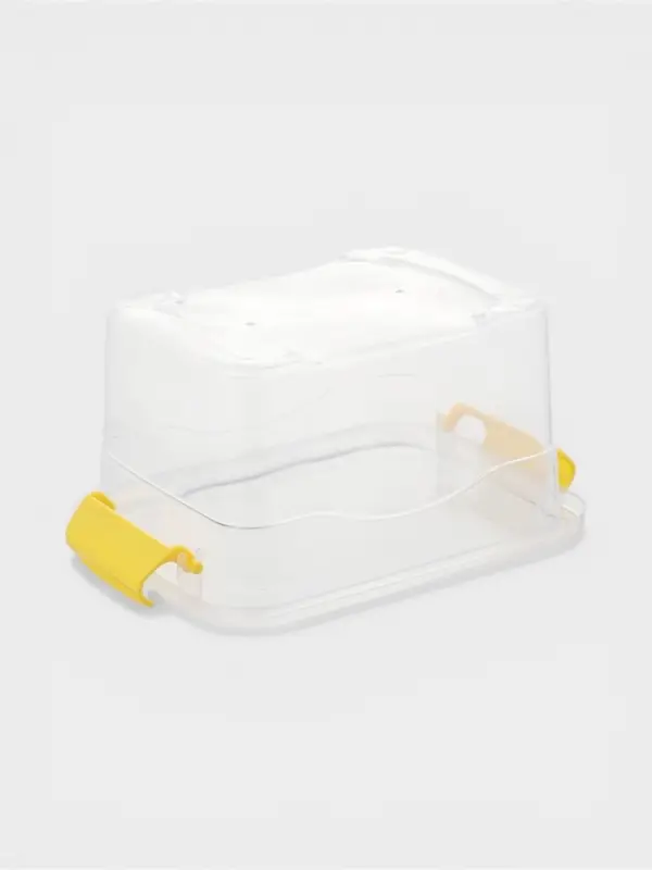 Контейнер для хранения, 20&times;15&times;11 см, крышка с ручкой на защёлке, МИКС