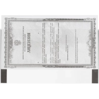 Ценникодержатель для информации А4 на магнит.скотче, вертик., 10шт/уп