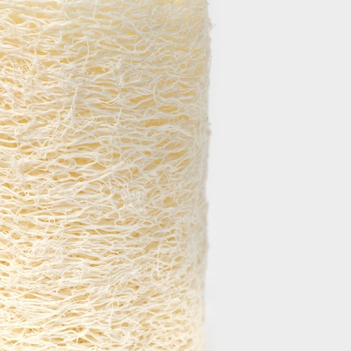 Люффа - мочалка для тела натуральная Доляна, 8×6×6 см Люффа - мочалка для тела натуральная Доляна, 8×6×6 см