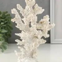 Сувенир полистоун "Коралл белый" 14,5х5,5х17,5 см