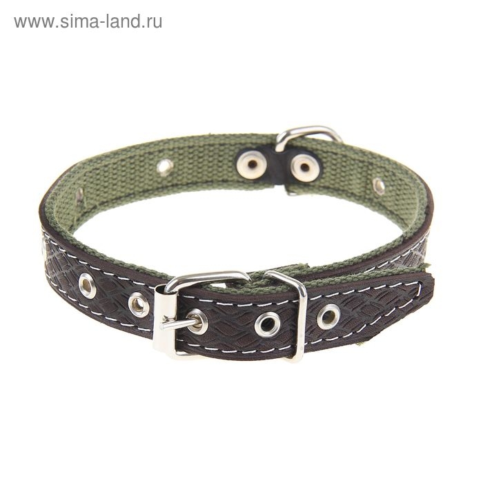 Ошейник комбинированный кожа/брезент, 46 х 2 см, безразмерный микс цветов Ошейник комбинированный кожа/брезент, 46 х 2 см, безразмерный микс цветов