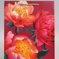 Пакет подарочный ламинированный &laquo;Яркий акцент&raquo;, 26&times;12&times;32 см