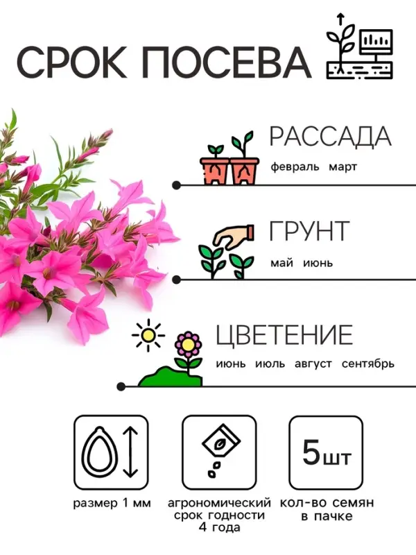 Семена цветов лобелия &laquo;Розамунда&raquo;, 5 шт.