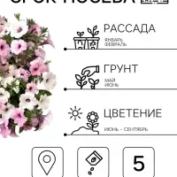 Семена цветов Петуния каскадная &laquo;Тайдал Вейв Сильвер&raquo; 5 шт.