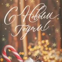 Коробка для кондитерских изделий с пластиковой крышкой «С Новым годом», 10.5×21×3 см