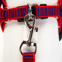 Комплект амуниции рельефный, поводок 120&times;1.5 см, ОГ 36-49 см, красно-синий