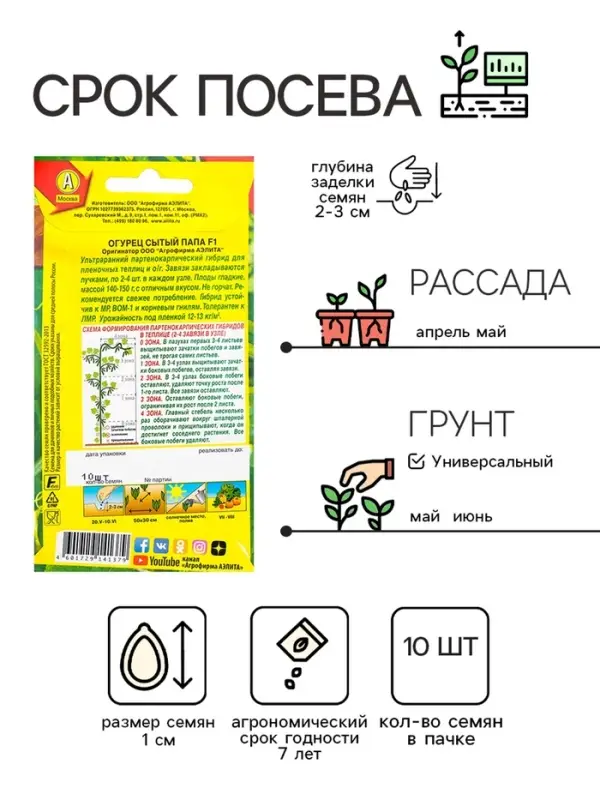 Семена Огурец Семена Огурец "Сытый папа F1", 10 шт