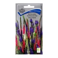 Семена цветов Вероника колосистая Смесь окрасок, 0,1гр Семена цветов Вероника колосистая Смесь окрасок, 0,1гр