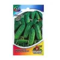 Семена Огурец "Миг", раннеспелый, пчелоопыляемый, 0,3 г серия ХИТ х3 Семена Огурец "Миг", раннеспелый, пчелоопыляемый, 0,3 г серия ХИТ х3