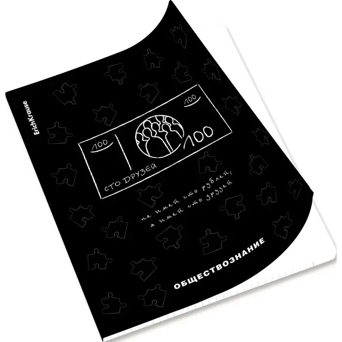 Набор предметных тетрадей ErichKrause &laquo;Зри в корень&raquo;, 12 предметов, 48 листов, со справочным материалом, пластиковая обложка