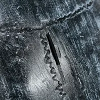 Копилка для денег &laquo;Череп&raquo;, полистоун, 16&times;13&times;22 см