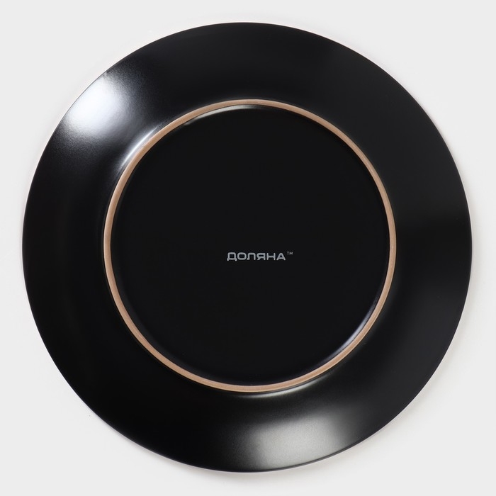 Тарелка керамическая обеденная Доляна «Ваниль», d=27 см, цвет чёрный Тарелка керамическая обеденная Доляна «Ваниль», d=27 см, цвет чёрный