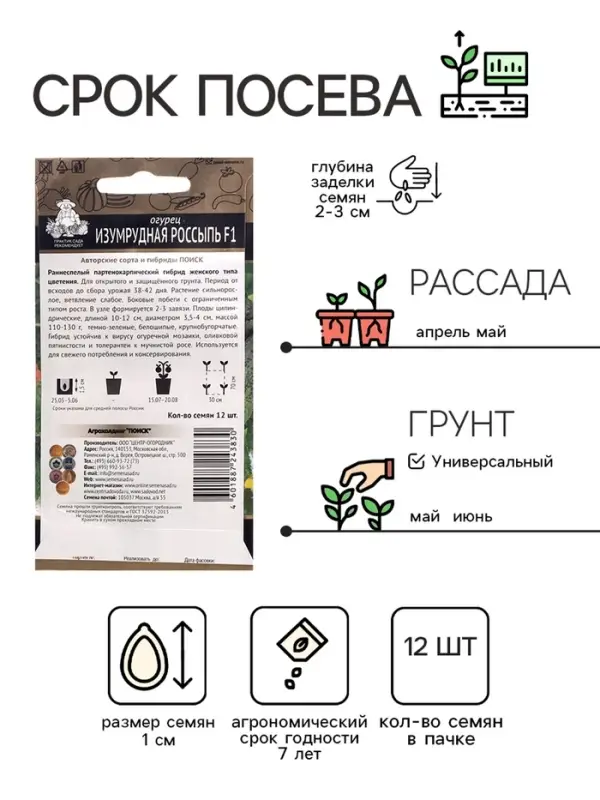 Семена Огурец  Семена Огурец "Изумрудная россыпь", F1, 12 шт