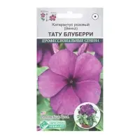 Семена Цветов Катарантус розовый, Винка Тату Блуберри, 5 шт Семена Цветов Катарантус розовый, Винка Тату Блуберри, 5 шт