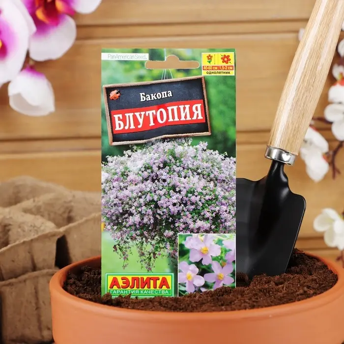 Семена Цветов Бакопа &laquo;Блутопия&raquo;, однолетник, 3 шт., &laquo;АЭЛИТА&raquo;