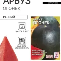 Семена Арбуз &laquo;Огонек&raquo;, 1 г, &laquo;Сембат&raquo;